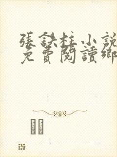 张铁柱小说全文免费阅读乡野小农民