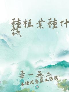 种植业种什么挣钱