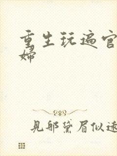 重生玩遍官场贵妇