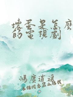 坏蛋是怎么炼成的电视剧