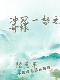 冲冠一怒之合租奇缘