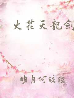 火花天龙剑