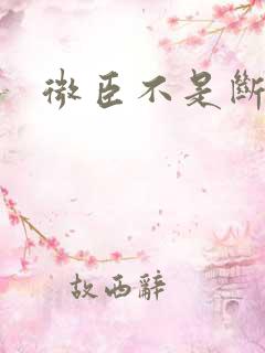 微臣不是断袖