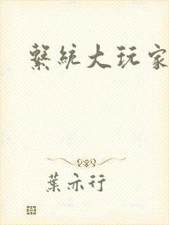 系统大玩家