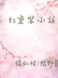 ts变装小说