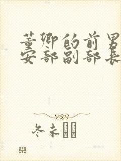 董卿的前男友公安部副部长