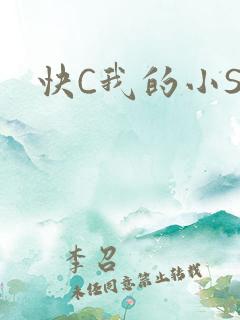 快C我的小SB