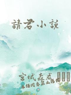 请君小说