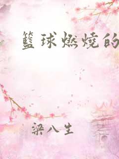 篮球燃烧的岁月