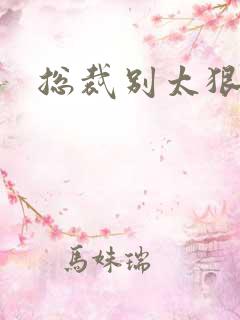 总裁别太狠