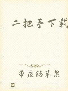 二把手下载