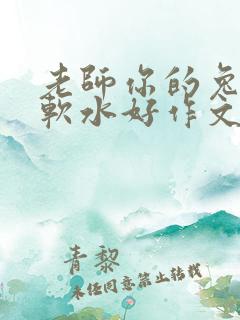 老师你的兔子好软水好作文免费阅读
