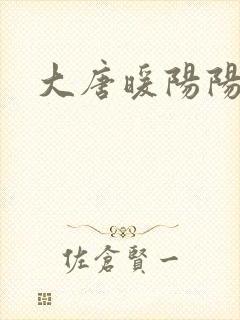 大唐暖阳阳