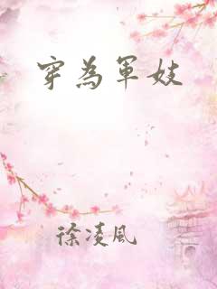 穿为军妓