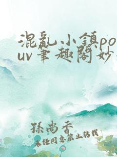 混乱小镇popuv笔趣阁妙妙