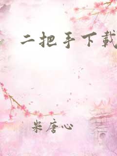 二把手下载