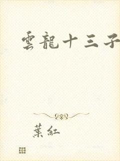 云龙十三子