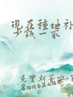 现在种地补贴多少钱一亩