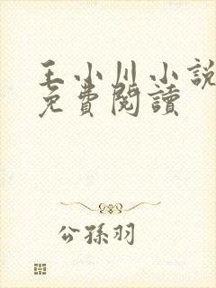 王小川小说全文免费阅读
