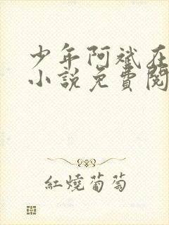 少年阿斌在线听小说免费阅读