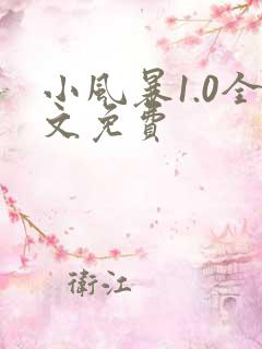 小风暴1.0全文免费
