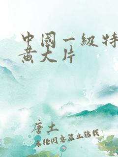 中国一级特黄特黄大片
