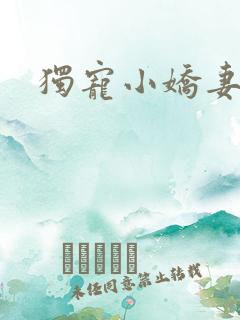 独宠小娇妻