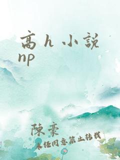 高 h 小说 np