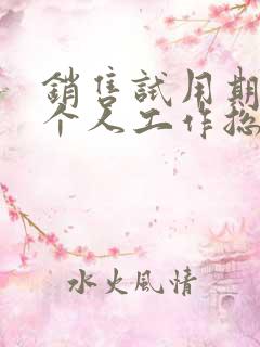 销售试用期转正个人工作总结