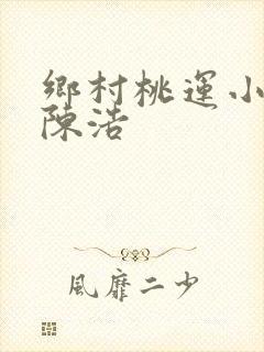 乡村桃运小神医陈浩