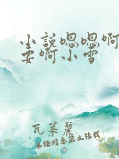 小说嗯嗯啊啊不要啊小雪