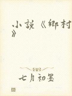 小说《乡村盲医》