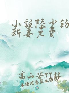 小说陆少的暖婚新妻免费