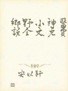 乡野小神医 小说全文免费