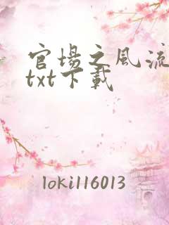 官场之风流人生txt下载