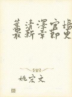 叶清泽官场小说最新章节更新免费阅读