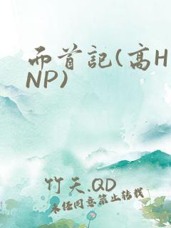 面首记(高H NP)