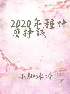 2020年种什么挣钱