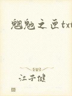 魍魉之匣txt
