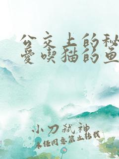 公交上的秘密 爱吃猫的鱼