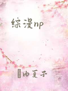综漫np