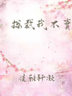 总裁我不卖宝宝