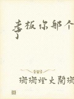 老板你那个太长了