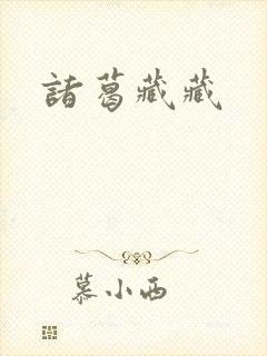 诸葛藏藏