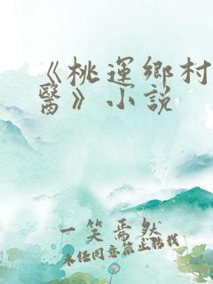 《桃运乡村小神医》小说