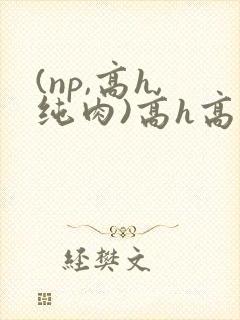 (np,高h,纯肉)高h高辣笔趣阁