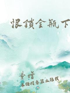 恨锁金瓶下载