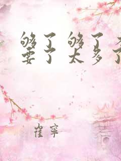 够了 够了 不要了 太多了