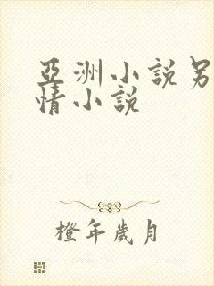 亚洲小说另类激情小说