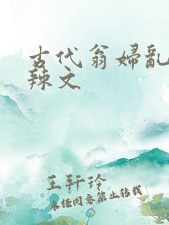 古代翁妇乱高h辣文